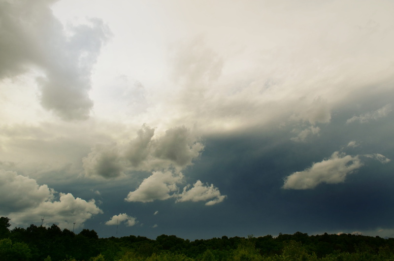 storm, no people, cloud, overcast, day, Weather, cloudscape, severe, sky, dramatic Sky, tree, nature, horizontal, sunlight, summer, storm cloud, plant