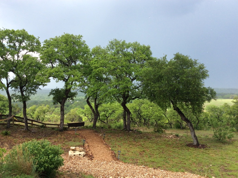 texas hill country, hill, growth, landscape, clouds, field, road, tranquil scene, sky, weather, green color, storms, 1080P, the way forward, rain, footpath