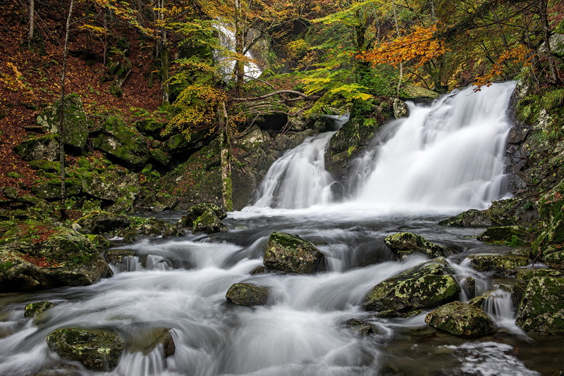 the river Parma, 1080P, Italy, Parma river, Emilia-Romagna, river, autumn, waterfall, cascade, forest, stones