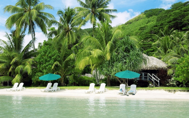no People, recreational Pursuit, tranquil Scene, coast, coconut Palm Tree, exoticism, blue, island, hut, water, beauty In Nature, sand, plant, waterfront