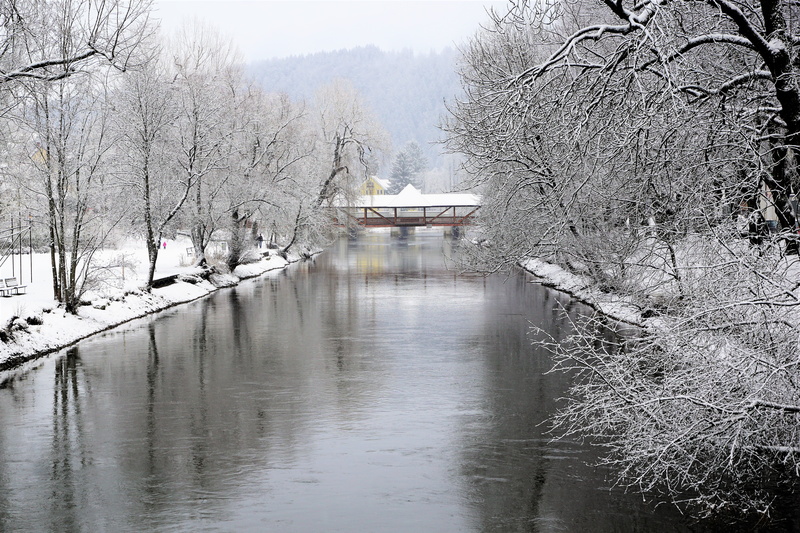 relaxation, hein, hike, flowing water, away, tree, branch, flood, vienna, water, recovery, waters, park, cold temperature, bare tree, waterfront, places of interest