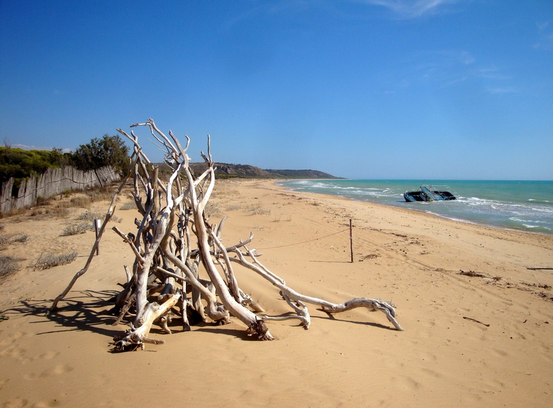 sculpture, setting, mysticism, tranquil scene, boot, bank, horizon over water, sea, dead plant, ocean, wreck, tragedy, ship, coast, scenics - nature, idyllic