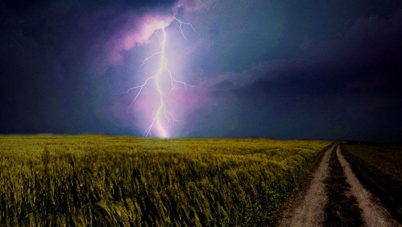 extreme weather, environment, green, sky, power in nature, atmosphere, rural Scene, mood, pasture, lightning weft, agriculture, rain, dirt track, landscape