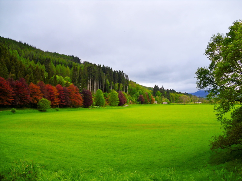 land, field, summer, countryside, no people, cloud - sky, green, scenics - nature, farming, photo, grass, tranquil scene, agriculture, lush, country, crop