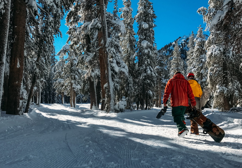 snow, sport, plant, one person, skiing, season, beauty in nature, 2K, leisure activity, mountain, one man only, Person, color Image, men, recreational Pursuit