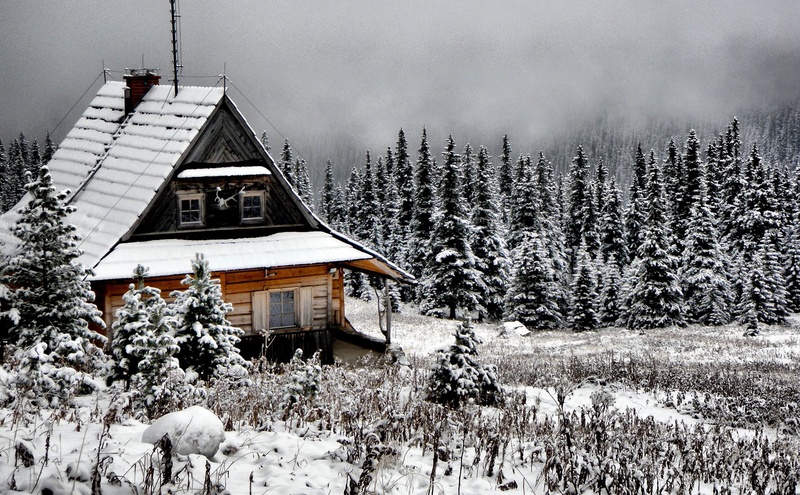 building exterior, cottage, christmas, park, frost, snow, mountain, cold - Temperature, landscape, cold weather, architecture, wood, cold, tree, travel