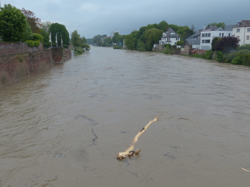 Weather, drift wood, waterfront, flooding, river, Rainy, water, tree, rain, pollution, cloud - sky, no people, environment, wet, rainy weather, plant, water pollution