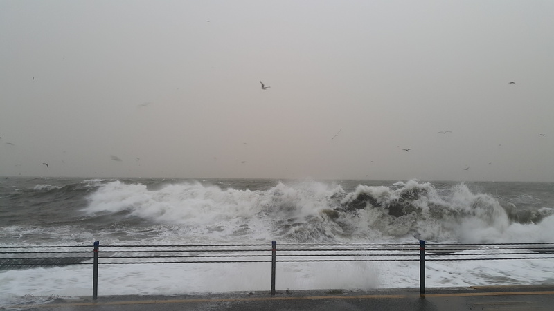 disaster, crash, rough, autumn, environment, cloudy, flood, power, weather, street, Water, 5K, sport, no people, Wave, beauty in nature, rain, Natural