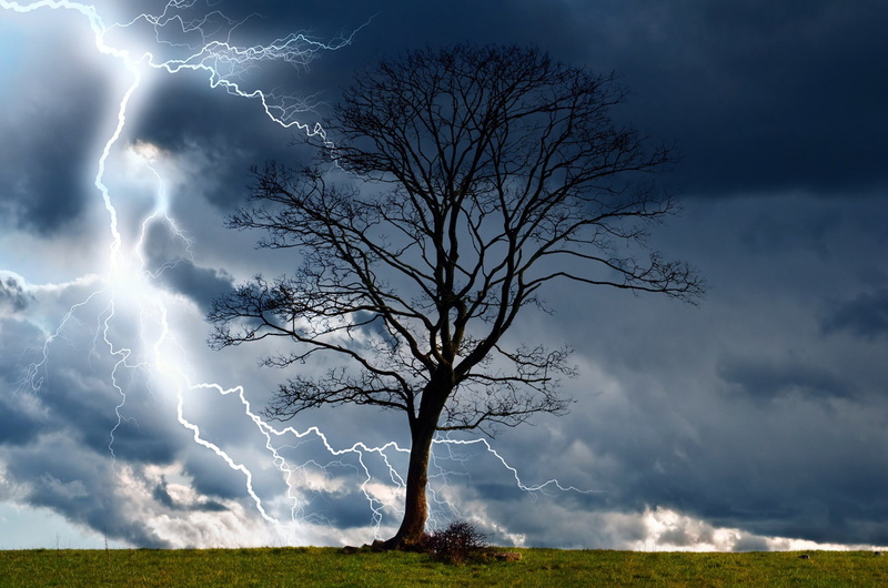 trees, lightning, rain, sky, landscape, wet, wind, nature, 1080P, dangerous, elements, storm