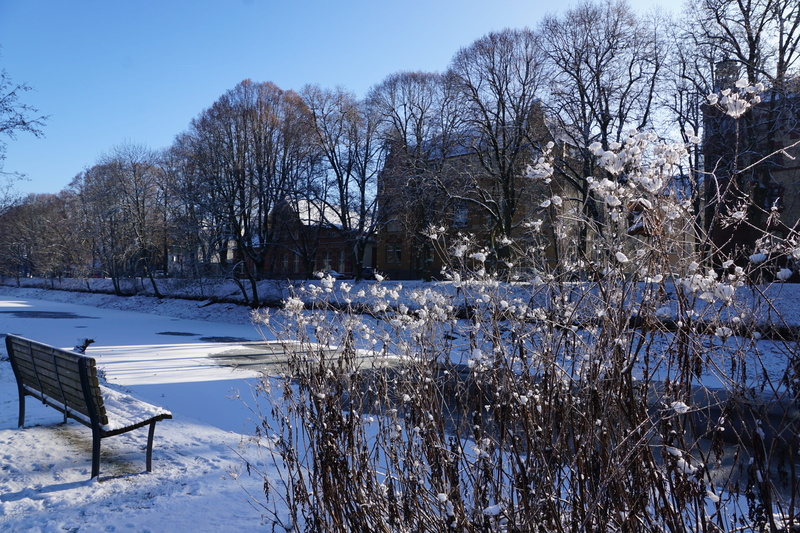 tranquility, river, Tuttlingen, white color, tree, Danube, River, bank, outdoors, waters, tranquil scene, built structure, snow, covering, day, beauty in nature