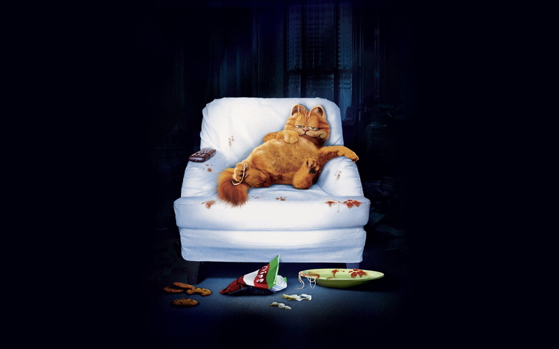 1080P, 2004, cat, garfield