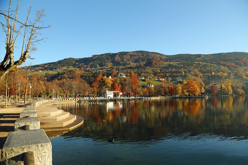 environment, outdoors, fall leaves, mood, gold, reflection, no people, autumn colours, clear sky, forest, mountains, tree, leaves, tranquility, trees, tranquil scene