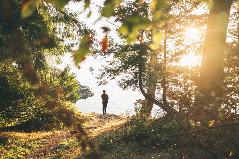 non-urban scene, tree, seawall, outdoors, standing, lifestyles, island, men, full length, real people, leisure activity, beauty in nature, 4K, sun, canada