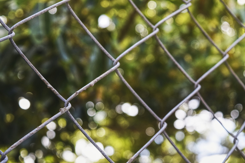 boundary, metal, focus on foreground, safety, photography, chainlink fence, shallow, security, day, no people, bokeh, 5K, plant, selective, fence, squares