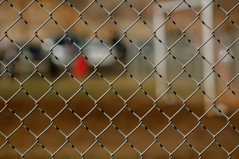 boundary, outdoors, crisscross, cardinal, photography, barrier, flicker bird, bluebird, mammal, plant, nature, 4K, wire mesh, safety, architecture, finch