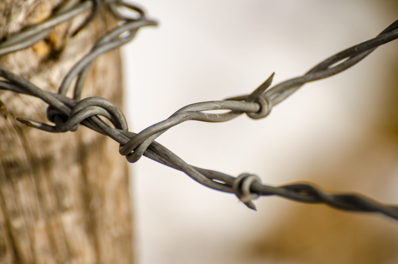 rustic, cattle, technology, wire, barbed wire, close-up, agriculture, gray, fence wire, close, pasture, barbed, farm, barb, 4K, security system, no people