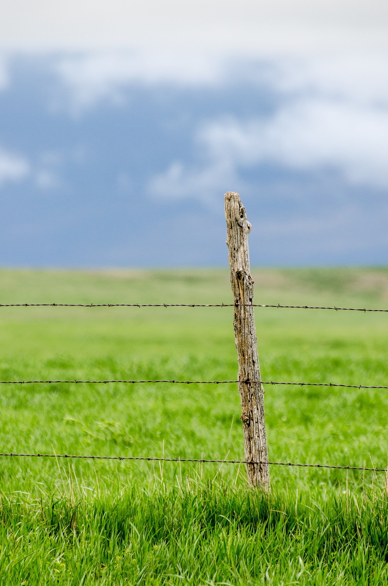 blue, ranch, barbwire, wood - material, spring, agriculture, barbed, sun, post, landscape, 4K, nature, tranquility, boundary, horizon, sky clouds, plant