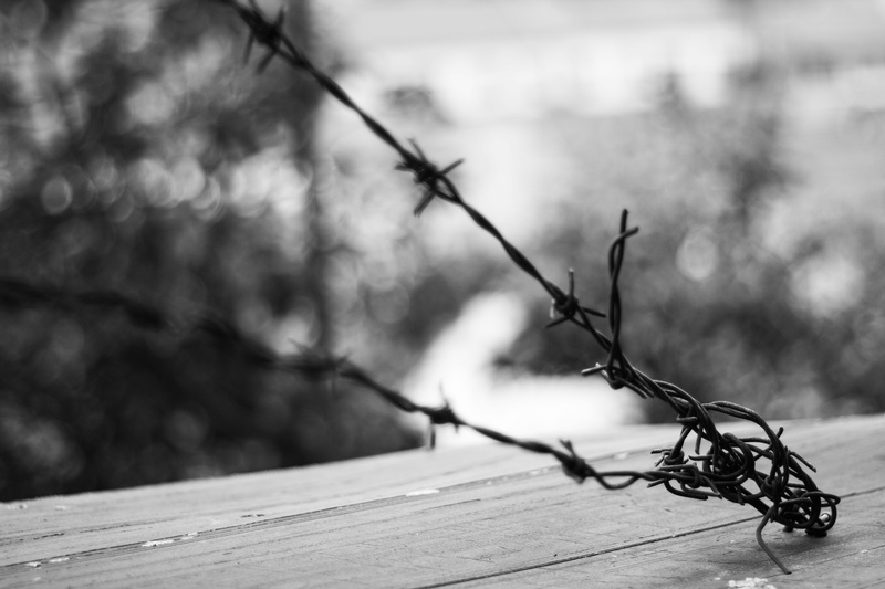iron, plant, no people, outdoor, security, close-up, fenced, prison, protection, focus on foreground, selective focus, wood - material, jail, safety, work