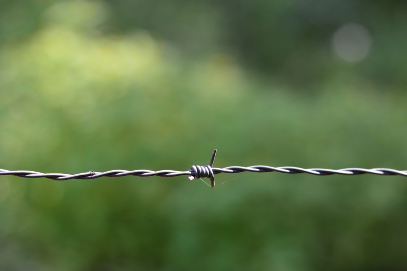 spiked, rustic, security, border, protection, metal, cable, close, focus on foreground, green, twisted, boundary, barbed, barrier, danger, obstacle, warning sign