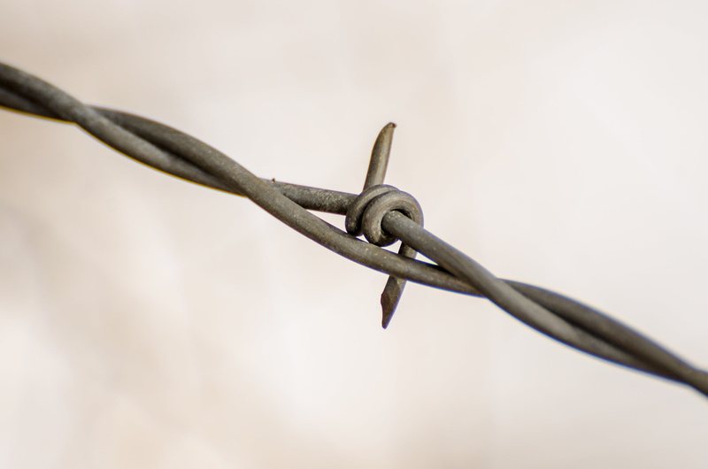 steel, iron - Metal, barrier, field, country, agriculture, wire, razor wire, protect, close-up, metal, no people, outdoor, nature, rusty, security, barbwire