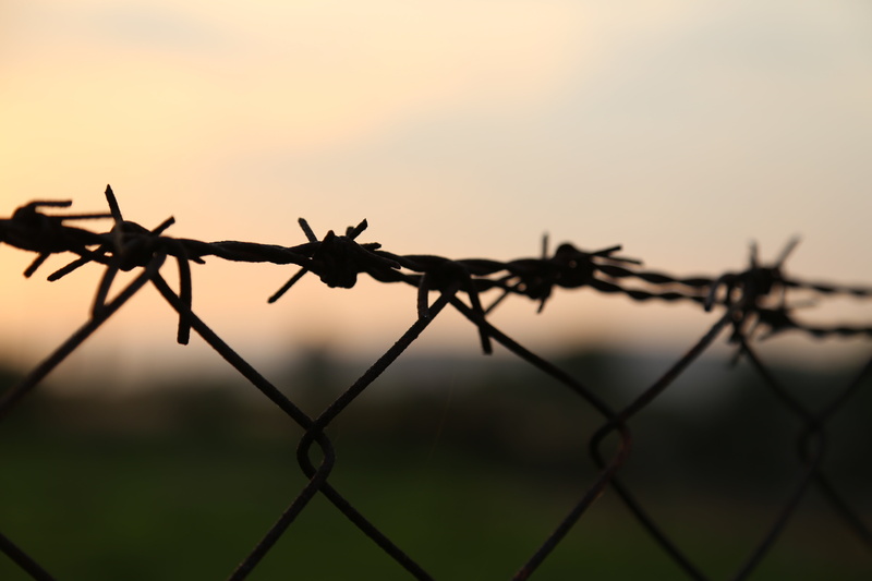 protection, focus on foreground, nature, barbed, silhouette, fence, close-up, barb, no people, barbwire, landscape, outdoors, sunset, iron, old, sharp