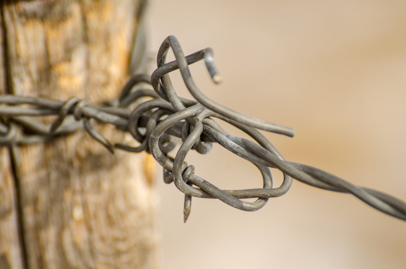 fence, day, barrier, chain, no people, sharp, protection, connection, wire, field, fence wire, 4K, selective focus, safety, focus on foreground, close-up