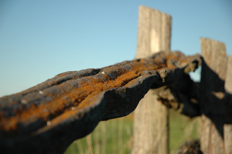 line, fence, protect, barrier, metal, blue, deterioration, focus on foreground, sky, aged, nature, clear sky, wood - Material, pattern, scene, construction