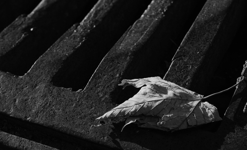 nature, thirst, wc, building, leaf, path, the passage of the, drainage, irons, metal construction, underground, water, representation, spooky, architecture