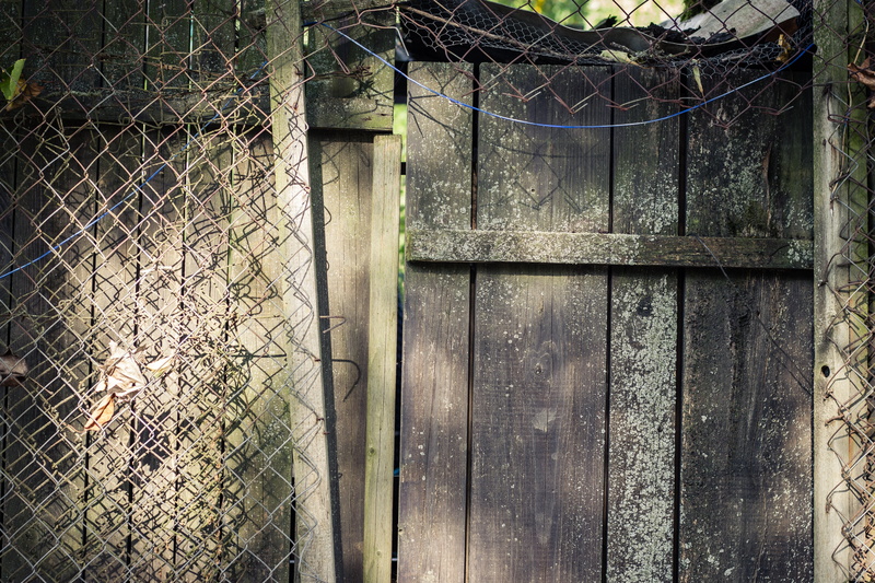 input, outside, security, plant, wooden door, safety, wood, cable, day, structure, tree, wooden, wood - material, the safety of the, outdoors, iron, board