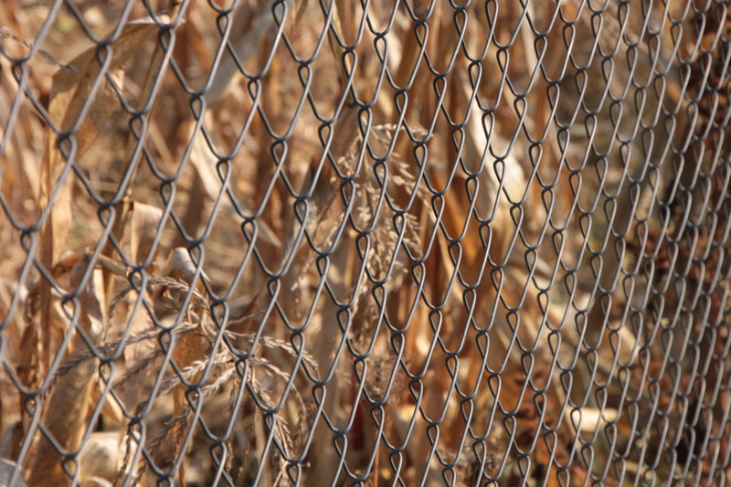 industries, wire, selective focus, Fence, metal, chainlink fence, close-up, 4K, no people, boundary, safety, full frame, day, Galvanized, backgrounds