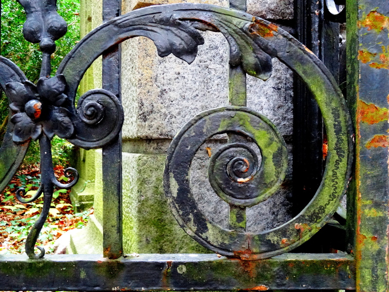 architecture And Buildings, weathered, Iron Gate, Wrought Iron, rusty, metal fence, black color, outdoors, moss, nature, iron, water, close-up, iron - Metal