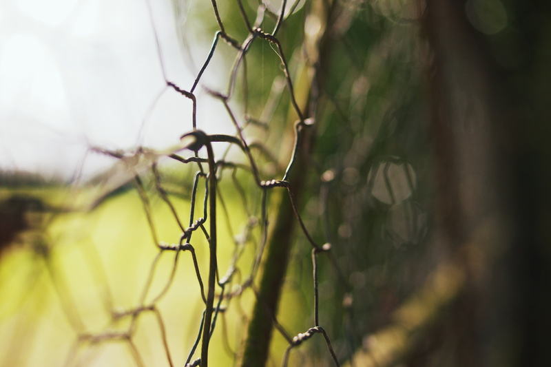 Good Friday, black steel, nature, wires, photography, steel, 4K, shot, Sony  A700, Fence, barb, macro, Wire, DoF, Chipperfield, macro shot, HFF, outdoors