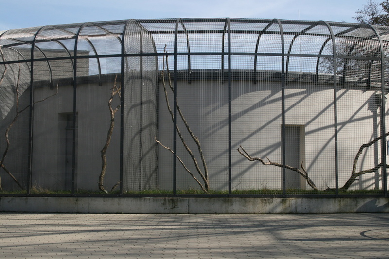 security, cage, building exterior, metal, prison, captivity, wire, shadow, architecture, day, outdoors, safety, 2K, building, no people, nature, entrance