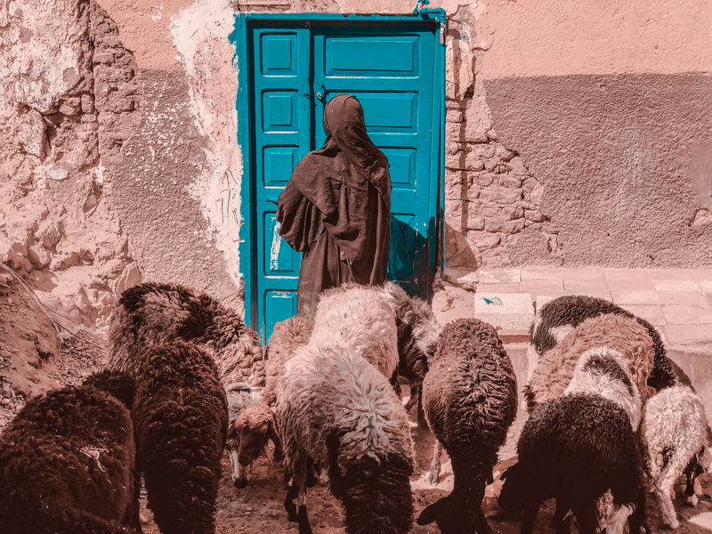 art and craft, day, building exterior, nature, no people, poor, egypt, representation, hijab, vertebrate, wall, architecture, built structure, standing
