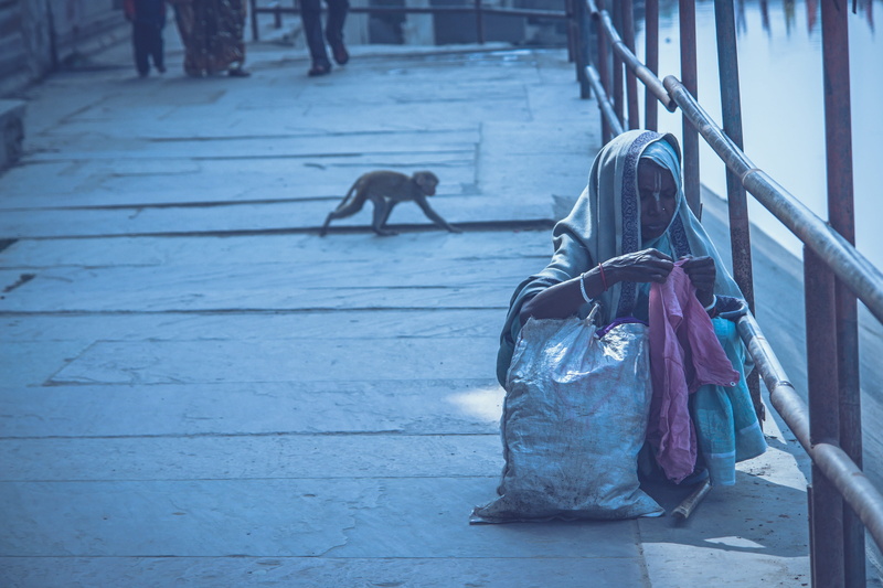 traditional, animal, poor, jamuna, staircase, squat, old lady on the jamun coast, man, mammal, beside, asian, monkey, walk, footpath, focus on foreground
