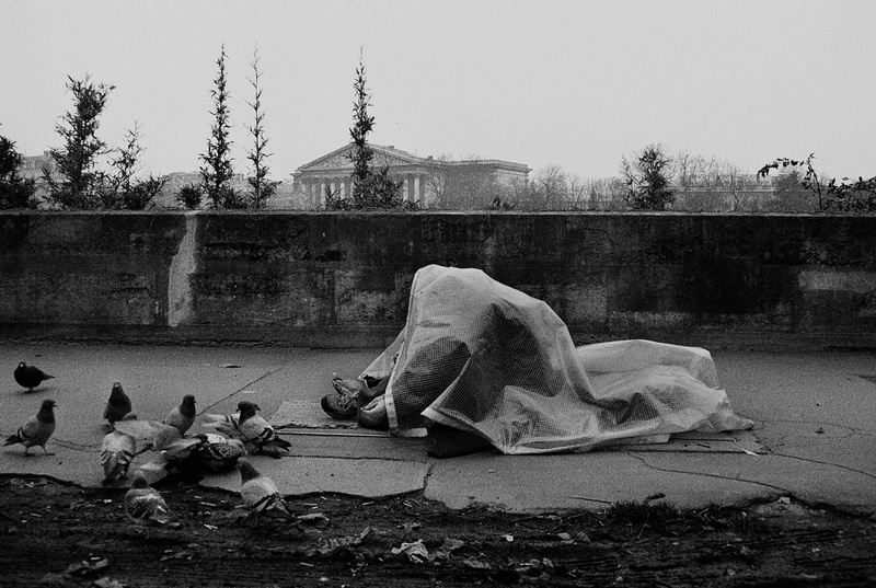 building exterior, france, built structure, crumbs, crumb, sculpture, black and white, poor, animal wildlife, clochard, flock, water, blackandwhite, hunger