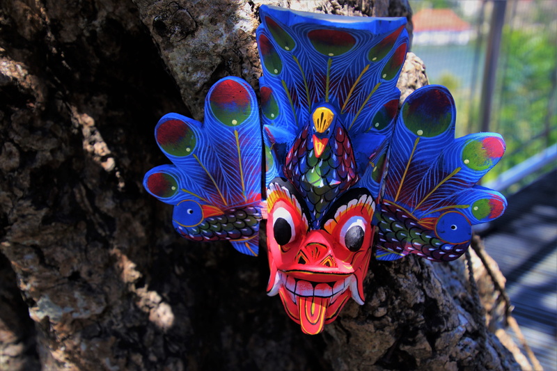 animal wildlife, colorful, craft, mask, decorative, artistic, painted, neon colors, no one, ornament, garden, closeup, focus on foreground, no people, sri lanka