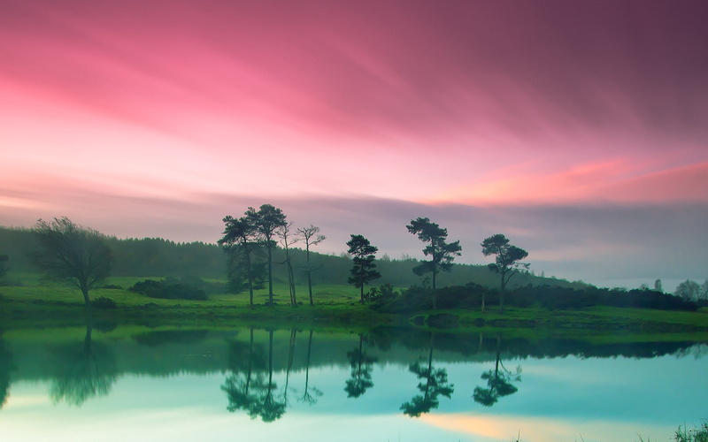 green Color, scenics - nature, plant, lake, water, grass, sunset, sunrise - Dawn, morning, cloud - Sky, terribly, 1080P, pond, dusk, beauty In Nature