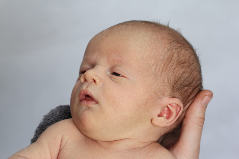 headshot, cute, mouth open, gray, birth, human body part, newborn, precious, sleepy, baby, one person, helpless, 5K, infancy, adorable, gray background