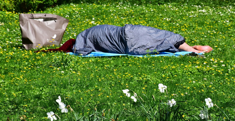 rest, exclusion, lying, relaxation, despair, domestic animals, one person, fear, barefoot, nature, spring, green color, helplessness, lonely, man, canine