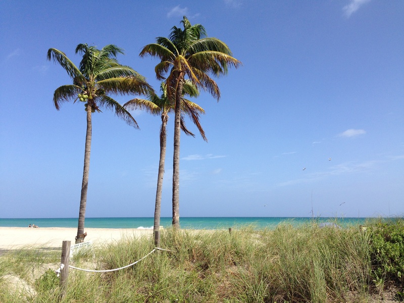 blue, atlantic, grass, vacation, tranquility, south, plant, 2K, horizon over water, beauty in nature, land, turquoise colored, tree, scenics - nature