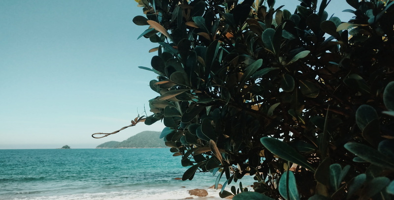 nature, horizon over water, no people, mountain, land, blue, south america, tree, ocean, plant, water, calm, tranquility, green, beauty in nature, plant part