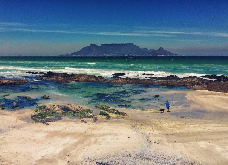 land, dog, Cape Town, lifestyles, city, panoramic, holiday, scenics, 2K, sea, tranquility, tranquil scene, ocean, woman, beach, blue, non-urban scene