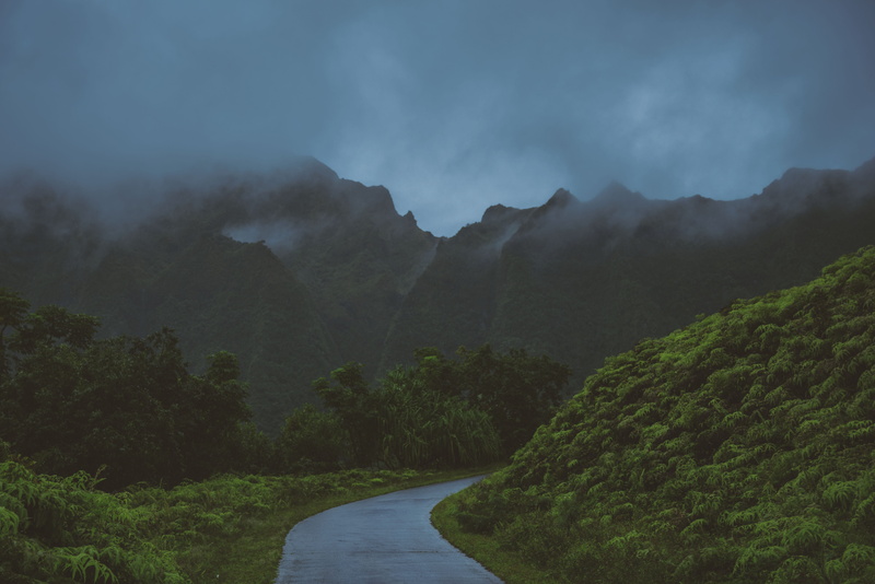 countryside, asphalt, fog, landscape, beauty in nature, plant, sky, scenics - nature, grassland, across, tropical, nature, the way forward, storm, gray