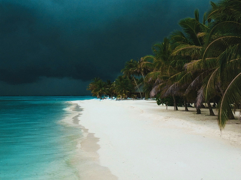 Tropical, Beach, Storm, Cloud, Earth, 1080P, Palm Tree, Photography