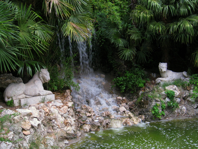 relaxation, palm tree, growth, zen, water flowing, rock, branches sheets, plant, botany, landscape, scenics - nature, tree, day, River, rest, Source, 2K