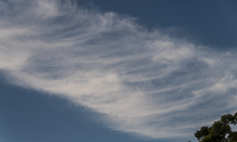 cloud - sky, pattern, plant, white, low angle view, tree, scenics - nature, fluffy, day, meteorology, tranquil scene, 2K, idyllic, clouds, sky, tranquility