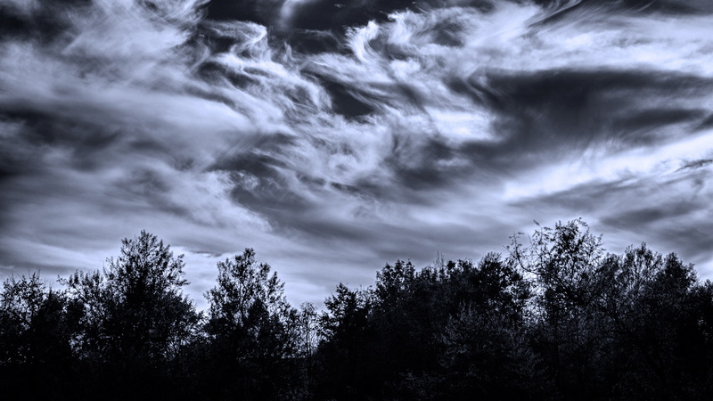 clouds, sky, nature, weather, swirl, white, black, trees, 1080P, forest, light, moon, moonlight, glow