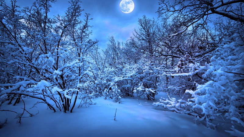 beauty in nature, no people, crystal, fresh, tree, ripple, clean, drops, frost, season, drop, solid, drink, light, white color, blue, environment, droplet