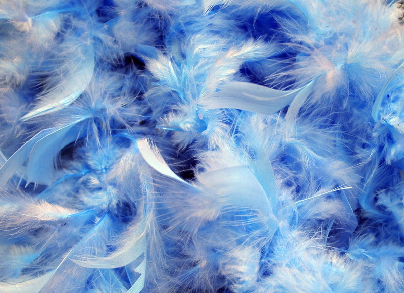 textured, backgrounds, 720P, day, lightweight, indoors, close-up, blue and white, feathers, pattern, still life, white color, blue, transparent, high angle view